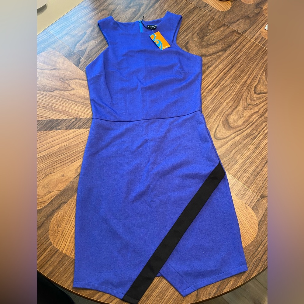 Karina Grimaldi blue dress.